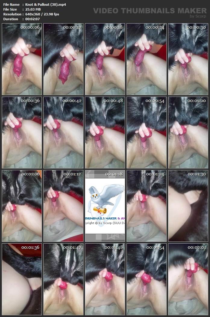 peluda  sexo com animais zoofilia Blu-ray Andy Private Caledonian ,ZOOdelight ,Zooskool ZOOSEX filmes anal sexual amor zoofílico orgia no zoológico Zoofilia com uma loira gostosa pornô zoofilia com oral